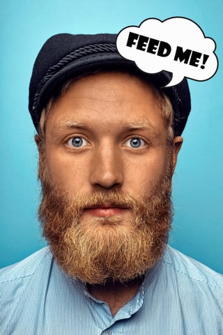 Feed-me-hipster-blog.jpg